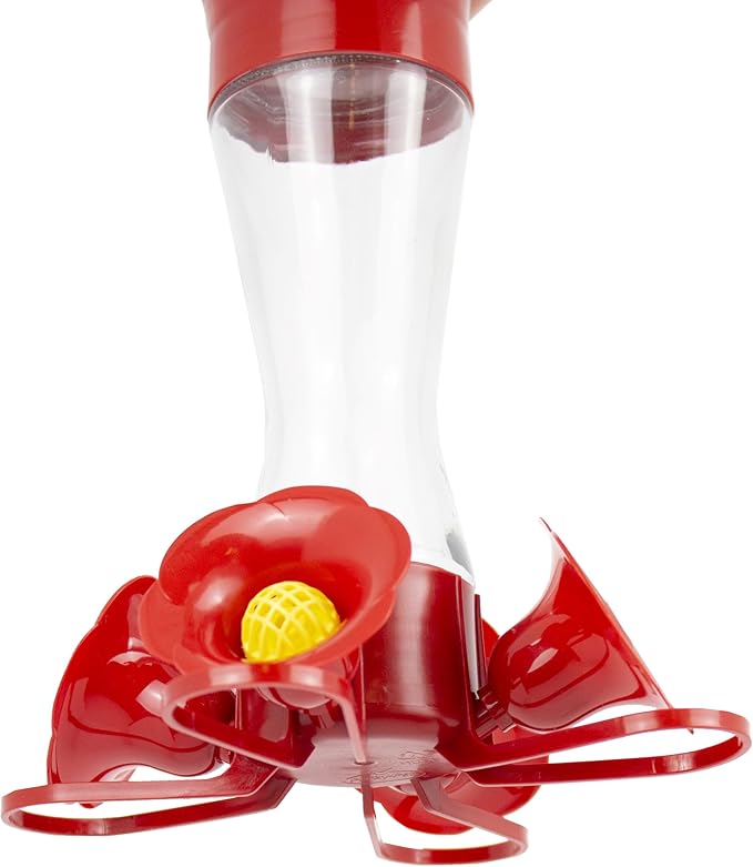 Perky-Pet 203CPBN-2 Glass Hummingbird Feeders for Outdoors with Perches,Ant Moat,Bee Guards -,2 Count (Pack of 2)