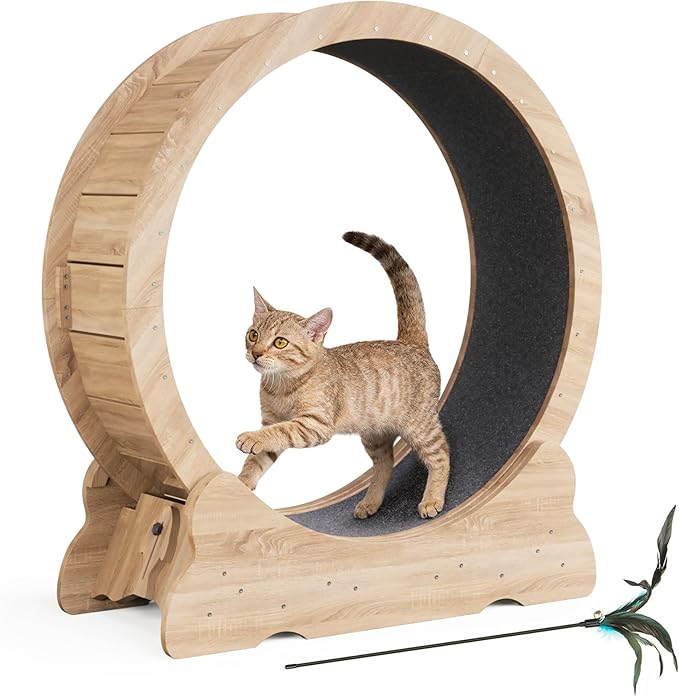 38'' Indoor Cat Exercise Wheel, Cat Running Wheel with Smooth and Quiet Roller, Detachable Carpet and Toy Teaser for Fun Fitness Training Treadmill,Natural Wood
