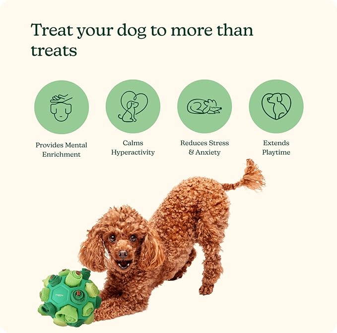 Reggie Forager Ball for Dogs | Interactive Treat Dispensing Toy for Mental Stimulation | Reduces Boredom, Stress & Hyperactivity | Enrichment Ball for Small to Medium Sized Dogs | Durable & Washable
