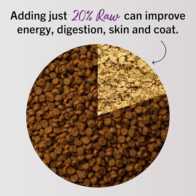 Stella & Chewy's Freeze-Dried Raw Cat Dinner Morsels - Premium Beef Recipe with 98% Grass-Fed Meat & Organs - Natural Grain-Free Cat & Kitten Food - Made in USA - 3.5 oz