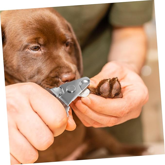 Pet Nail Clipper for Dogs and Cats Safe Use Stainless Steel Trimmer with Comfortable Grip Grooming Tool for Small Animals Non-Slip Handle Sharp Cutting Head