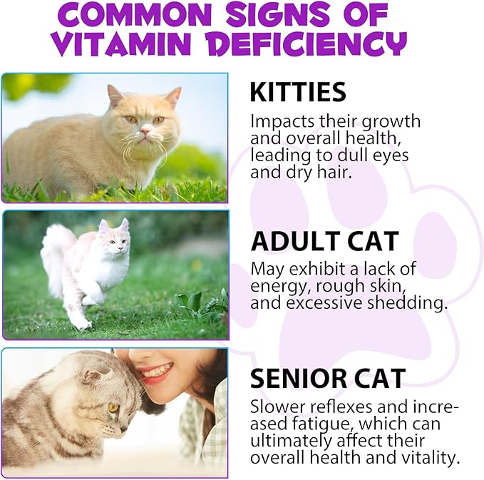 Cat Multivitamin Drops, 15-in-1 Multivitamin Drops for Cats, Immune Support, Heart, Skin & Coat Health, Digestion, Joint Care, for All Life Stages, Easy to Use 60ml