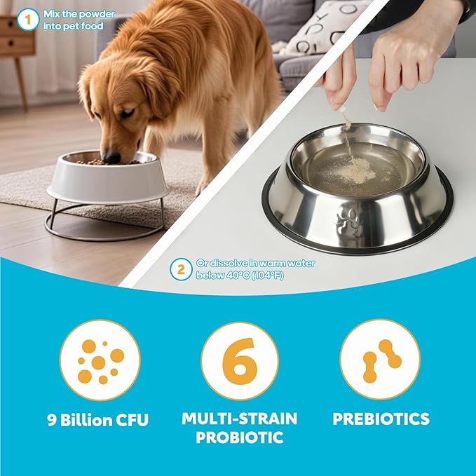 Probiotics for Dogs, Dog Probiotics with Digestive Enzymes with and Prebiotics for Support Gut & Digestion Health, Immune Support, Reduce Diarrhea, 60 Capsules