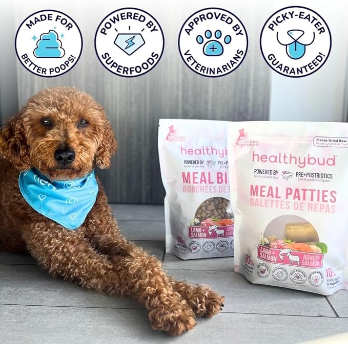 healthybud Raw Dog Food Freeze Dried Bites, Grain Free Dehydrated Small Chewy Bites, Dry Dog Treats & Toppers, Human Grade High Protein Puppy Food for All Breeds and Sizes, 14.1 oz (Lamb and Salmon)