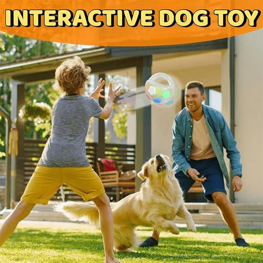 Tough Durable Ball Toy for Aggressive Chewers Ball in Bottle Strong Rubber Football Dog Chew Fetch Toy for Medium Large Breeds
