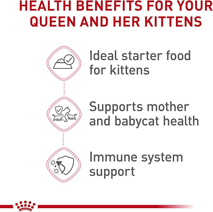 Royal Canin Feline Health Nutrition Mother & Babycat Queen Ultra Soft Mousse in Sauce Cat Food, 5.1 oz (Pack of 24)