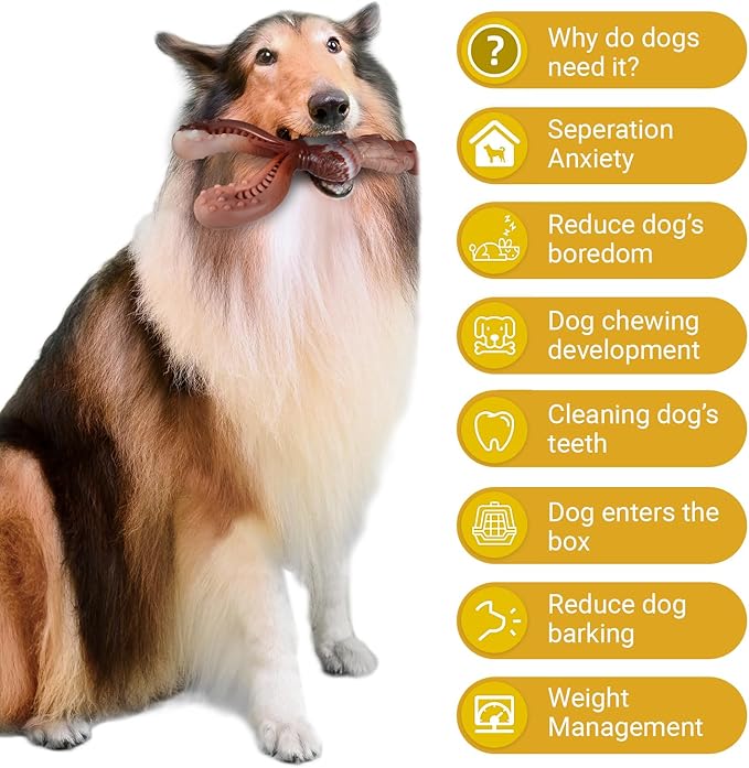 Dog Chew Toys for Large Medium Breed, Beef Flavor Chew Toy for Aggressive Dogs Chewers, Indestructible Teething Toys, Tough Nylon Dog Toy to Keep Them Busy, Rabbit Chew Bone Toy