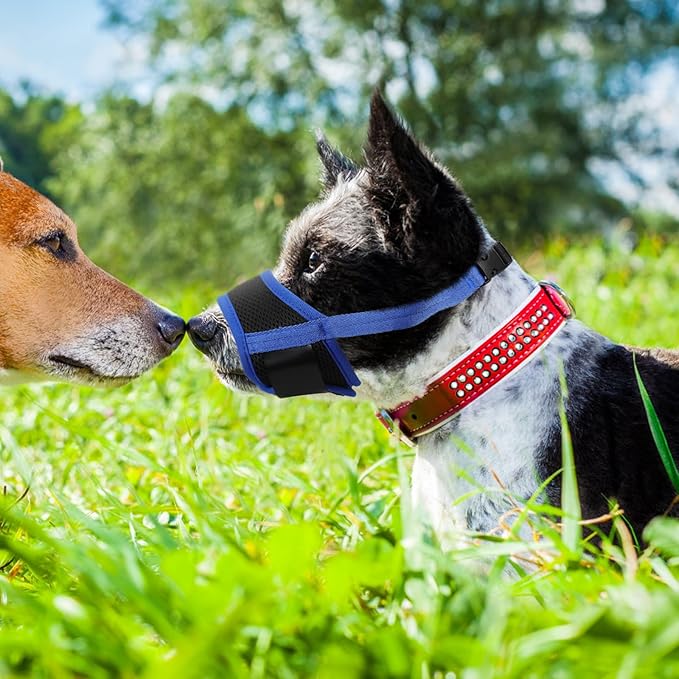 Toyvian Adjustable Puppy Muzzle Blue M 14-20cm Breathable Dog Mouth Cover Anti-Barking Walking Mask Small Dog Chew Prevention Pet Supplies