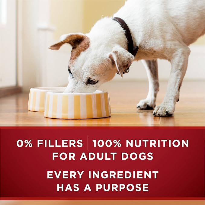 Purina ONE True Instinct Tender Cuts in Gravy with Real Turkey and Venison & with Real Chicken and Duck High Protein Wet Dog Food Variety Pack - 13 oz. Cans,(Pack of 24)
