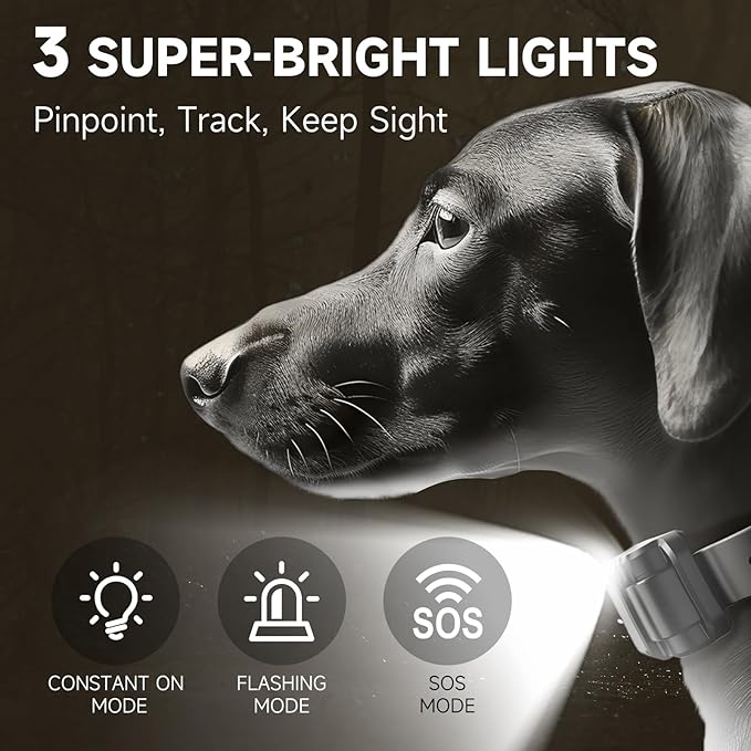ABBIDOT Long Range Dog Shock Collar with Remote Control 1 Mile/5280 Ft, Safe Shock, Vibrate, Tone, Flashing Beacon Lights, IPX7 Waterproof Rating & Rechargeable E-Collar for All Breeds