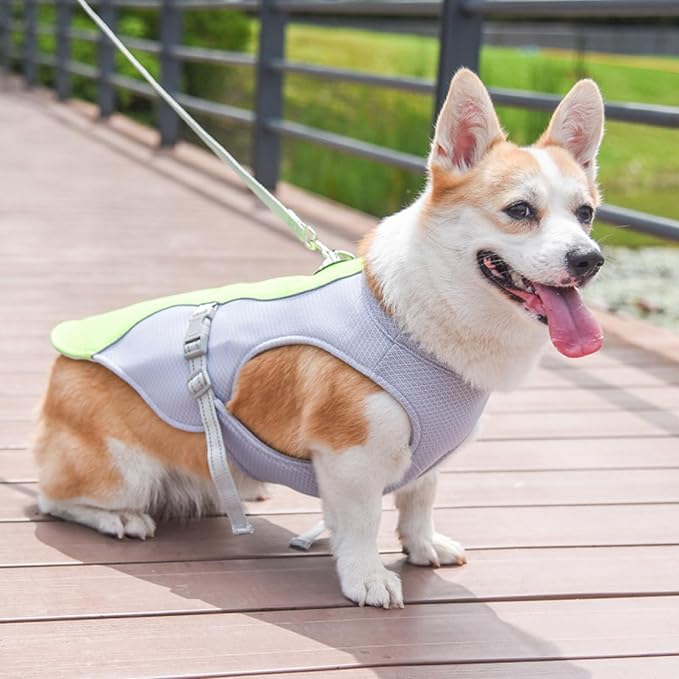 Dog Cooling Clothes Pet Vest Breath-able Mesh Fast-Dry with Reflective Strip Dogs Supply Mesh Fabric Clothing Lightweight for Dogs