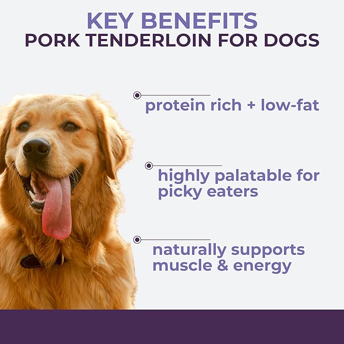 Momentum Carnivore Nutrition Freeze-Dried Pork Tenderloin Dog Treats & Cat Treats – Single-Ingredient, High-Protein, Grain-Free, Lean & Naturally Tender – Made in USA – 3.5 oz Bag