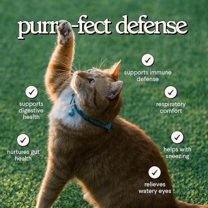 Premium L-Lysine Supplement for Cats – for Immune Support, Sneezing, Runny Nose, Watery Eyes & Nasal Health– 60ML Lysine for Feline Respiratory Support – Cat Lysine Drops with Taurine for Immunity