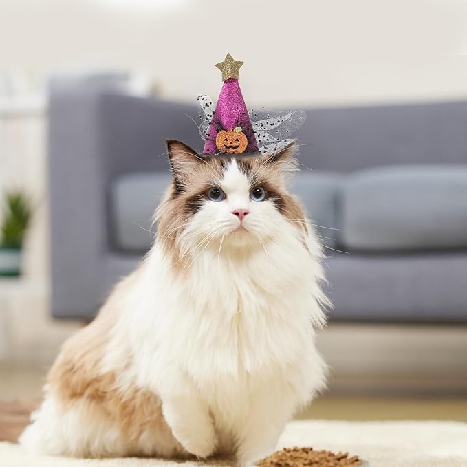 UPKOCH 2pcs Halloween Pet Hats Adjustable Party Caps for Dogs and Cats, Pumpkin Design, Purple Black, Halloween Costume Accessories for Pet Supplies