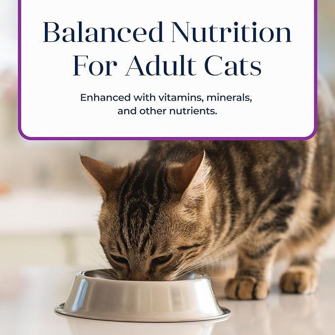 Blue Buffalo Basics Grain-Free Adult Wet Cat Food, Skin & Stomach Care, Limited Ingredient Diet, Turkey Recipe, 5.5-oz Can, 24 Count