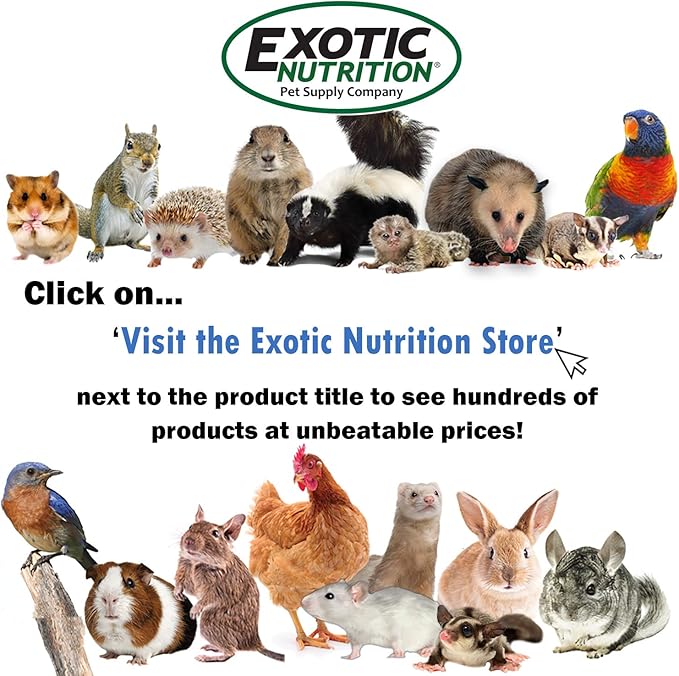 Canned Snails (6 Pack) - Healthy High Protein Insect Treat - Hedgehogs, Sugar Gliders, Reptiles, Wild Birds, Chickens, Lizards, Bearded Dragons, Skunks, Opossums, Fish, Amphibians, Turtles