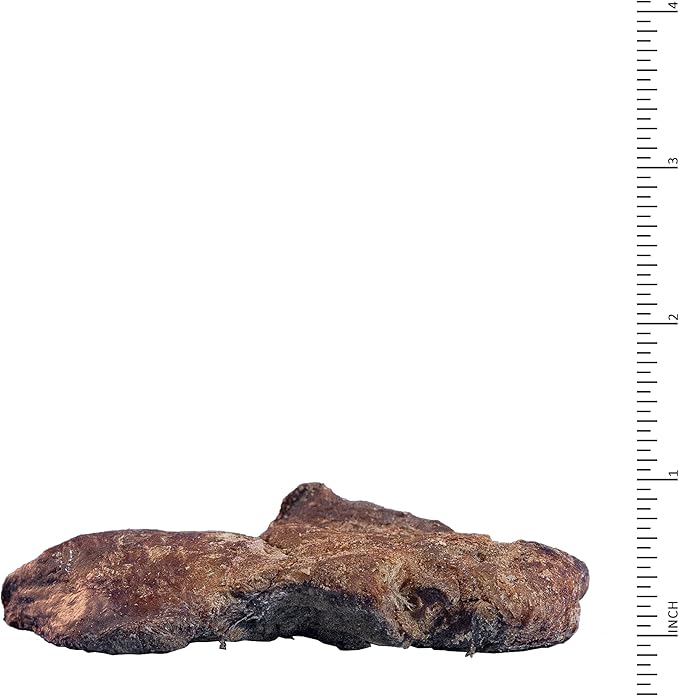 Wysong Archetype Treats Chicken Liver 5.5 oz. Bag