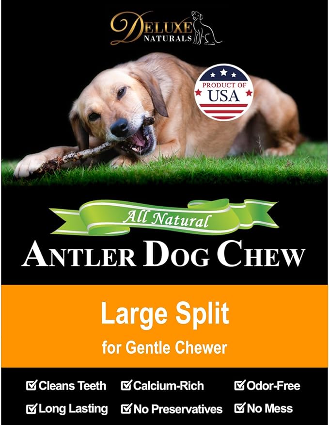 1-Pack Large Split Elk Antler Dog Chew (6 to 7.5+ in) – All Natural, Premium Grade A, Odor-Free, USA-Sourced – Long-Lasting Dental Treats for Small and Medium Dogs Under 45 lbs