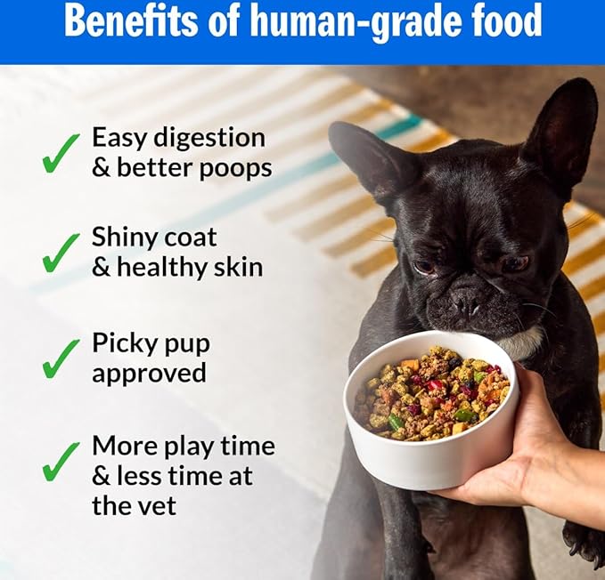 PetPlate Human-Grade Fresh Dog Food, Barkin’ Beef Entrée – Wet Dog Food for All Breeds – High-Protein, Natural – 12-oz Cups, Case of 24