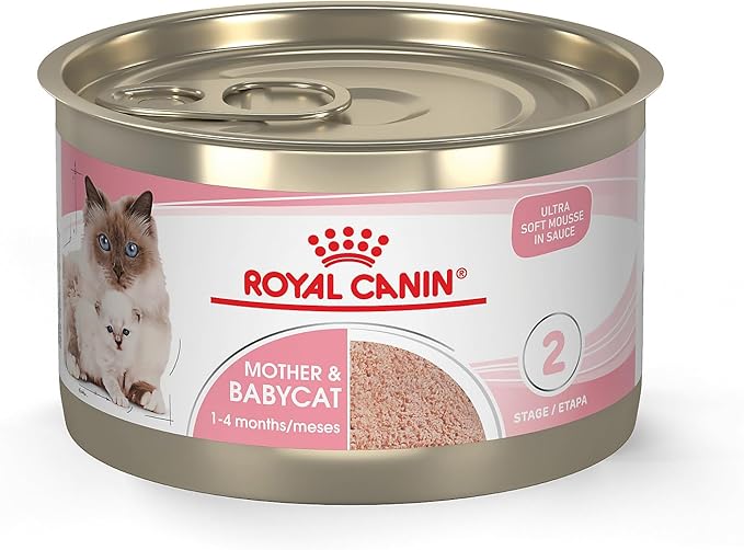 Royal Canin Feline Health Nutrition Mother & Babycat Queen Ultra Soft Mousse in Sauce Cat Food, 5.1 oz (Pack of 24)