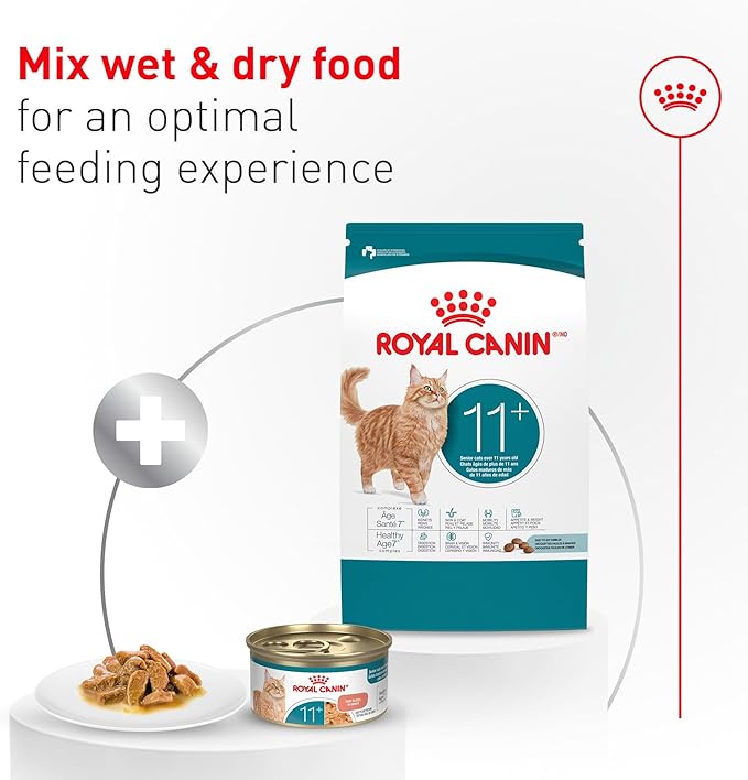 Royal Canin Feline Health Nutrition Aging 11+ Wet Cat Food for Seniors, Thin Slices in Gravy for Cats Over 11 Years, Supports Optimal Health & Vitality, 3 oz can, case of 12