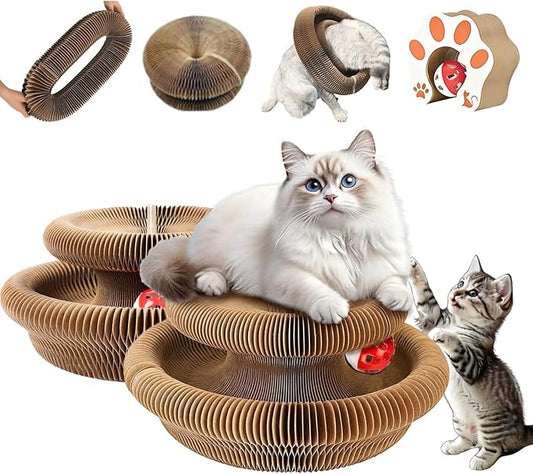 Kitty Curls Cat Toy,Magic Organ Cat Toy,Magic Organ Cat Scratcher Board,Foldable Recyclable Cat Accordion Toy for Indoor Cat Playing,Interactive Scratch Pad with Toy Ball(2pc)