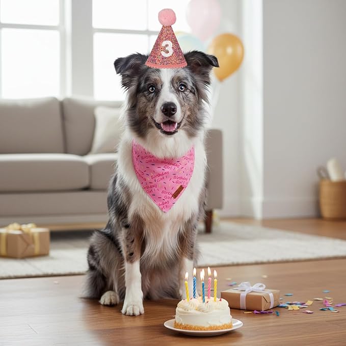 PTDECOR Dog Birthday Party Supplies, Pink Birthday Girl Bandana, Glitter Dog Birthday Hat with Numbers for Medium Large Dogs Pets (Large)