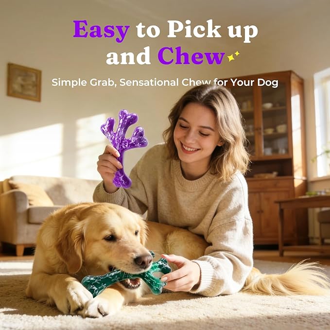 2 Pack Dog Chew Toys for Aggressive Chewers: Indestructible Tough Dog Toys for Large Dogs, Durable Nylon Chew Toys to Keep Dogs Busy, Beef Flavor, Dog Toys for Medium/Large Breed (20-90Lbs)