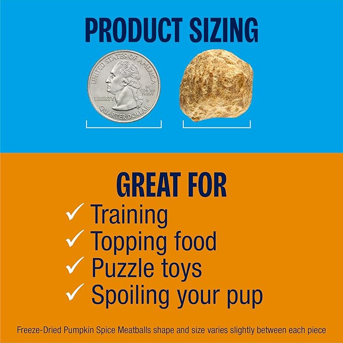 Muenster Freeze Dried Pumpkin Meatball Dog Treats 4 oz - Grain Free, Made in USA