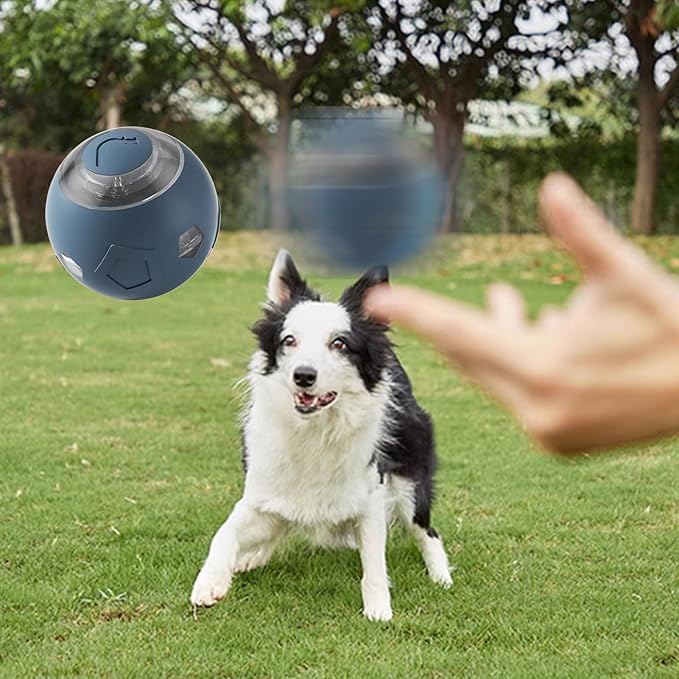 Genérico Moving Dog Ball - Electric Pet Toy | Rechargeable Quiet Dog and Cat Ball with LED Lights For Puppies Cats Aggressive Chewers Indoor Games Interactive Pet Supplies