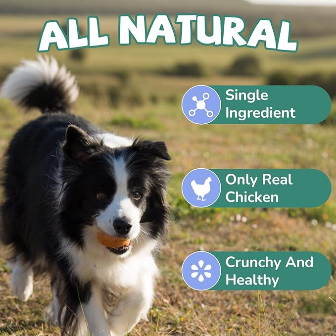 PAWUP Freeze Dried Dog Treats, Single Ingredient Natural Chicken Necks, High Protein Treats for Medium & Large Dogs Clean Teeth, 4.2 oz