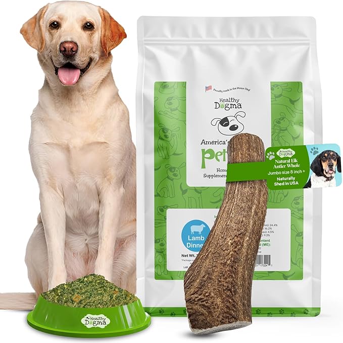 Healthy Dogma Nutrient-Rich Dog Food & Long-Lasting Chew Bundle | Lamb Dog Food & Jumbo Elk Antler | Supports Digestion, Joint Health & Natural Chewing Instincts