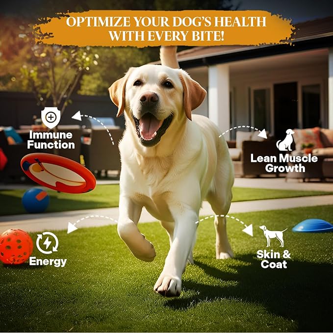 Healthy Dogma - PetMix Dehydrated Dog Food - Beef Dinner, Clean Ingredient Food - No Preservatives, Homemade Food Beef Recipe 10lb (Bucket)