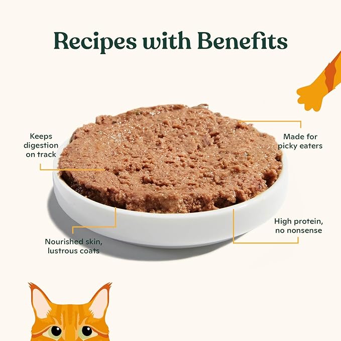 Made by Nacho Pate Wet Cat Food Variety Pack, Chicken, Salmon, and Turkey, 5.5 Ounce Cans, Grain-Free Canned Pet Food, Bone Broth Infused for Hydration, Limited Ingredients, 12 Pack
