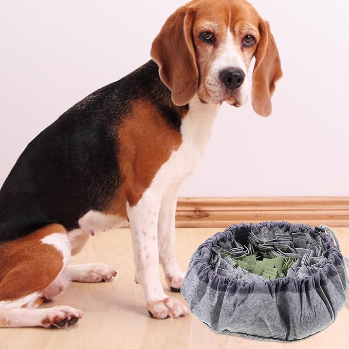 GALPADA Slow Feed Dog Bowl with Non-Slip Base, Interactive Plush Snuffle Mat, Medium Size for Puppy Training and Energy Consumption, Green and Gray Pet Feeding Supplies