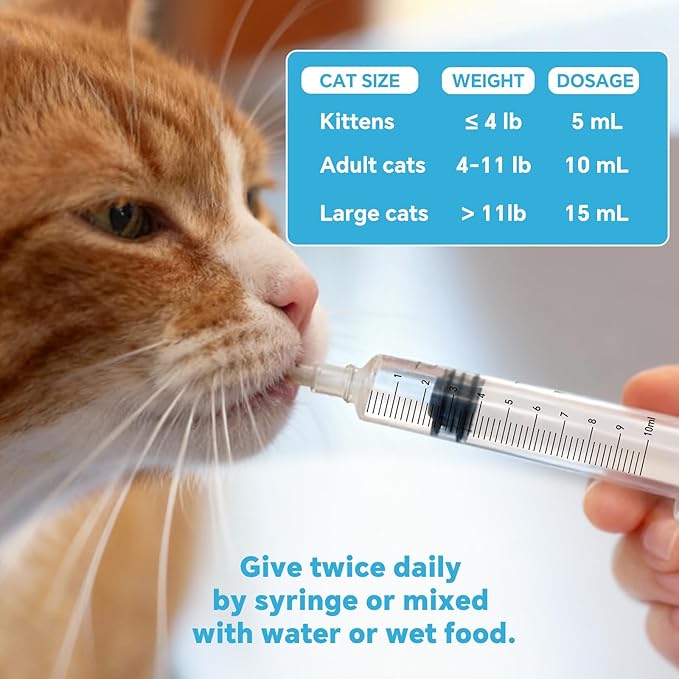 Cat Electrolytes & Hydration - Supports Post-Surgery & Illness Recovery - Immune Support with Electrolytes, Glucose for Energy, Omega-3, Antioxidants, Prebiotics - Oral Syringe - 10.14 fl oz