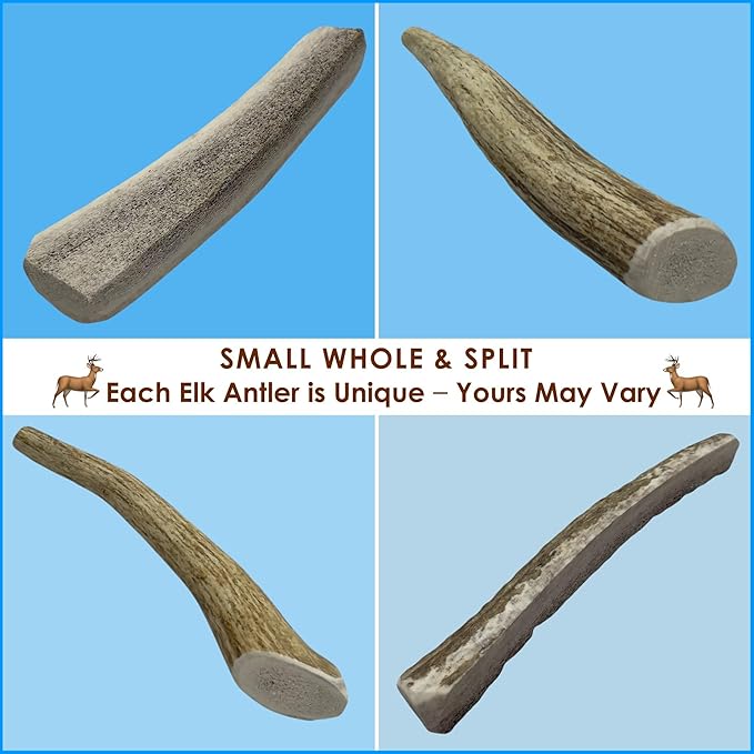 1-LB Small Mixed Whole & Split Elk Antler Dog Chews (5–7+ in) – Natural Long-Lasting Chews for Dogs Under 20 lbs – Rawhide-Free Treats for Dental Health