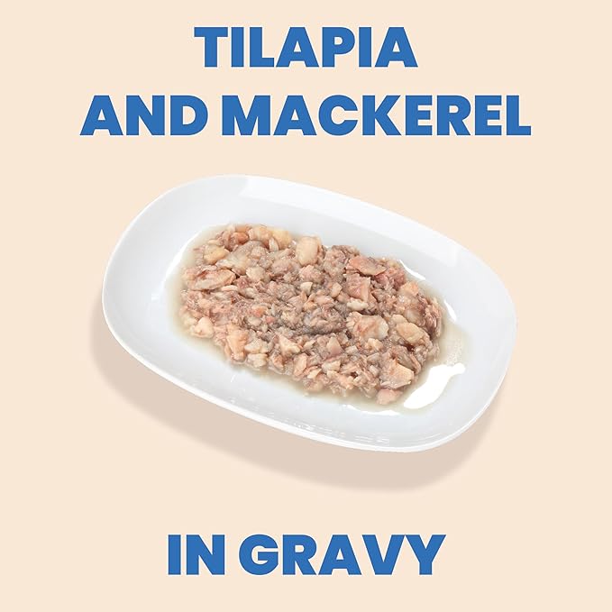 almo nature HQS Complete CAT Wet Cat Food Tilapia and Mackerel Recipe in Gravy - Grain-Free Cat Food Canned, 2.47 oz (Pack of 12)