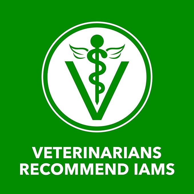 IAMS Proactive Health Adult Wet Dog Food Chunks in Gravy, Chicken Recipe, 13 oz. Cans (12 Count, Pack of 1)