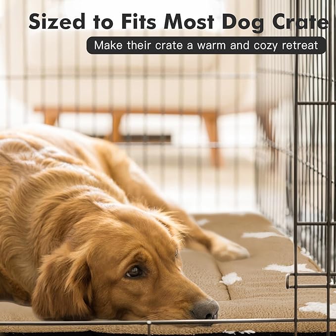 Mora Pets Dog Crate Pad Kennel Bed Crate Mat for Small Dogs Washable Cute Star Pet Bed for Dog Cage Ultra Soft Flat Puppy Cat Kitten Pillow Cushion for Sleeping Anti-Slip Brown 24 x 18