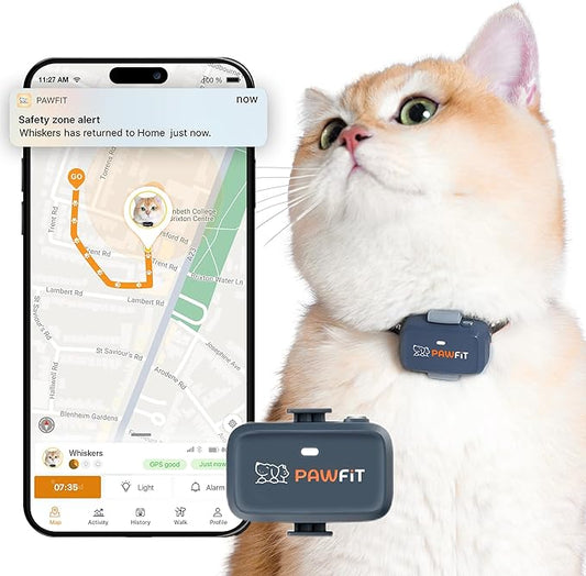 Pawfit Lite for Cats 4g GPS Tracker | Ultra-Small (<18g) Design | Real-Time Tracking | Activity Monitoring | Location History | Unlimited Range | Safety Collar Included | Charcoal Grey