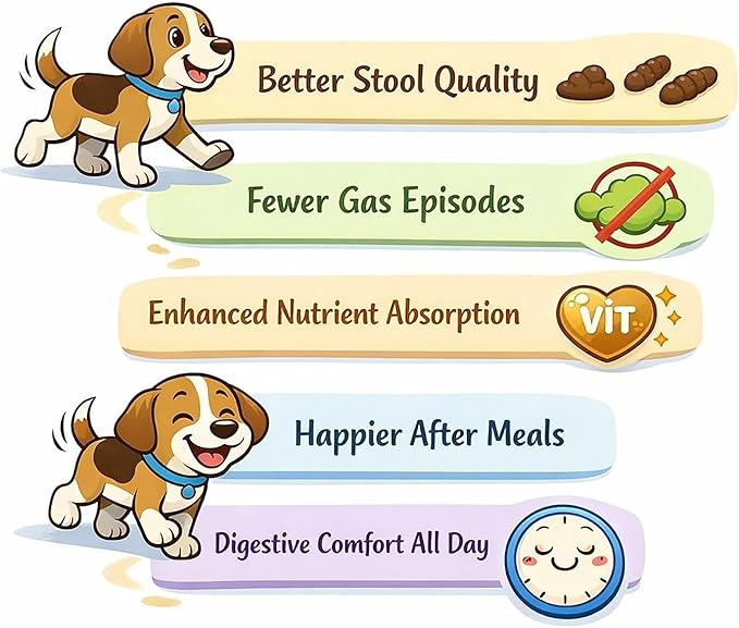 Dr. Goodpet Canine Digestive Enzymes Powder for Dogs – Supports Healthy Digestion, Gas Relief & Nutrient Absorption – Human-Grade Enzymes (Protease, Amylase & Lipase) – 7oz Digestive Supplement
