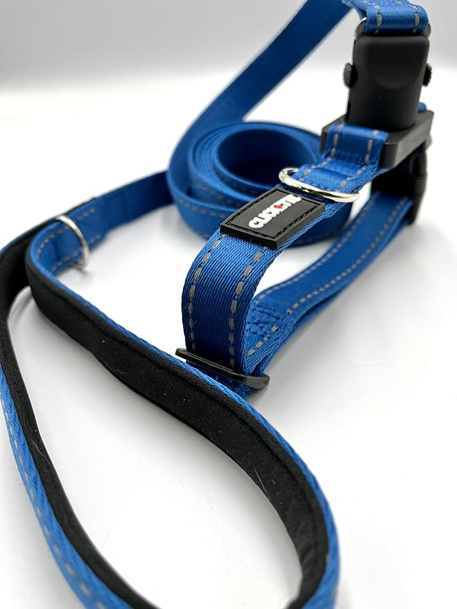 Clickette- Magnetic Quick-Lock Collar & Leash (Bue, Small)