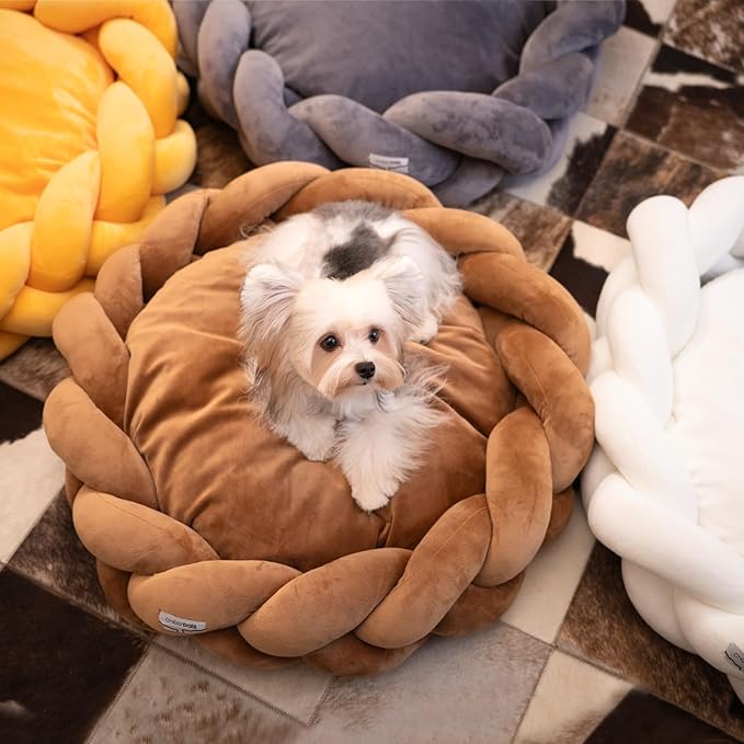 CHEERPALS Weave Cat Bed for Indoor Cats,Cute Pet Bed with Washable Cushion Fluffy Kitty Bed for Small Dog(Caramel)