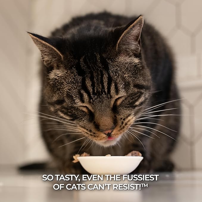 Fussie Cat Premium Tuna with Chicken in Aspic Grain-Free Wet Cat Food - 2.82oz Cans - Case of 24 Cans (Tuna with Chicken in Aspic), (Pack of 48)