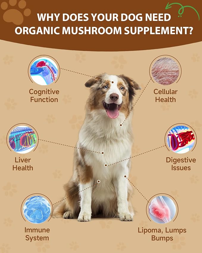 Cat Lysine Drops & 9 in 1 Dog Mushroom Powder