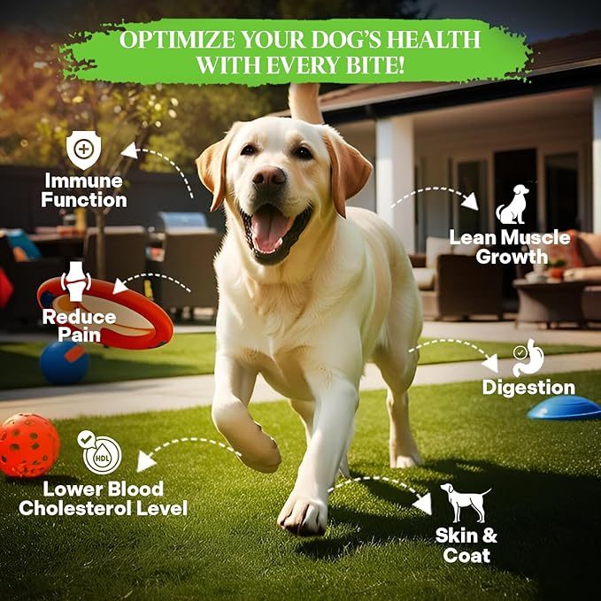 Healthy Dogma Nutrient-Rich Dog Food & Long-Lasting Chew Bundle | Lamb Dog Food & Jumbo Elk Antler | Supports Digestion, Joint Health & Natural Chewing Instincts