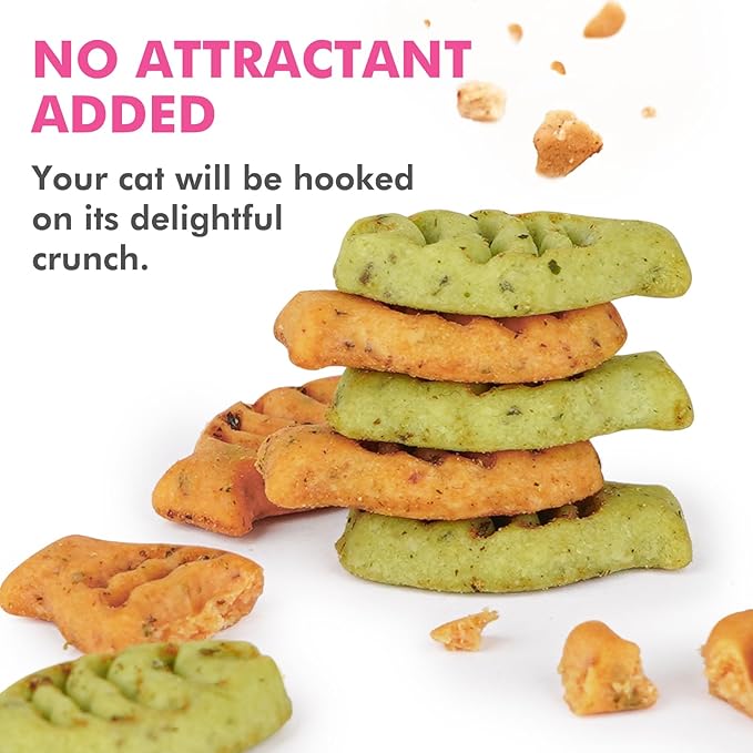 Catnip Cat Treats, Chicken and Salmon Flavor Snacks, Training Crunchy Fish Shape Adult Cat Biscuits, 30 oz
