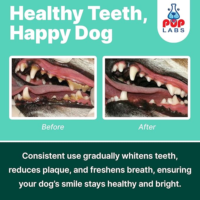ProDenta Fresh Breath for Dogs, All-Natural Dog Breath Freshener, Dog Dental Powder Made in USA, 30 Servings