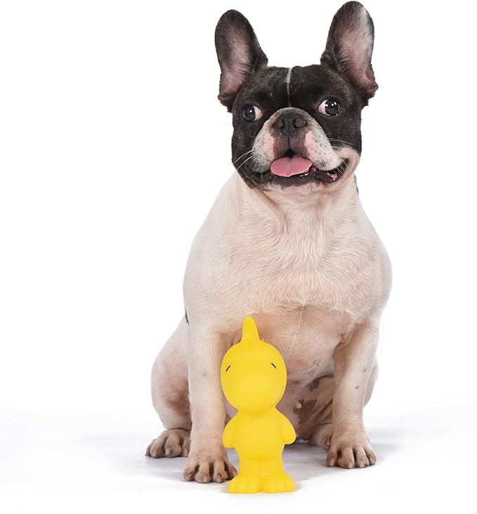 Peanuts for Pets Charlie Brown Woodstock Vinyl Squeaker Dog Toy | Squeaky Dog Toy for All Dogs | Charlie Brown Plastic Dog Toys for Aggressive Chewers - Fun and Cute Yellow Dog Chew Toy, 5.5 Inch